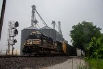 NS 1018